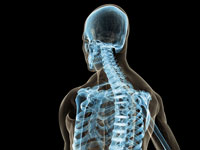 Neurology Services